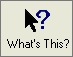 whatsthisico